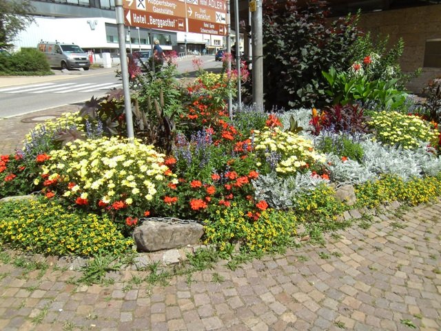 Traveler Digital Camera